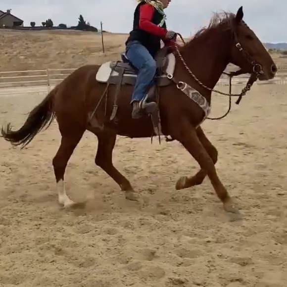 Meet your Posher, Brittany - Picture 14 of 16